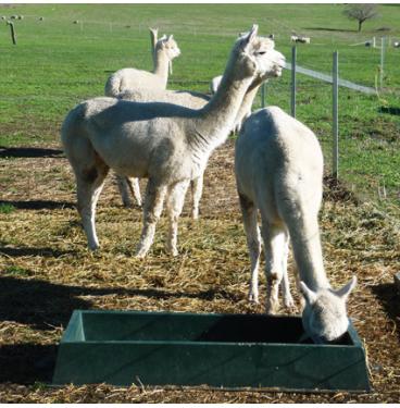 Polymaster PTM33F M Series Feed Trough